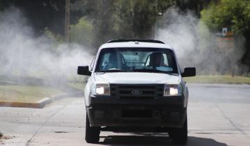 Imagen de Dengue: confirman que se superaron los 78 mil casos en la Provincia