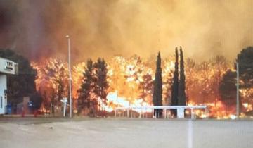 Imagen de Horas de desesperación por incendio en el bosque de Valeria del Mar