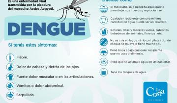 Imagen de Cuáles son los síntomas y la prevención ante el dengue
