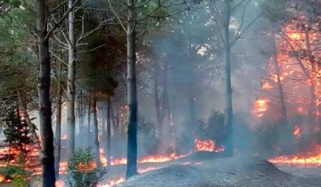 Imagen de Voraz incendio en Cariló: bomberos de la región trabajan para sofocar las llamas