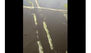 Imagen de El video que muestra el dramático momento de General Lavalle por las inundaciones