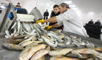 Imagen de La Terminal Pesquera de La Costa venderá al público desde este lunes