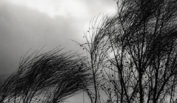 Imagen de Pasaron las lluvias y llegó el viento: alerta por fuertes ráfagas en la región