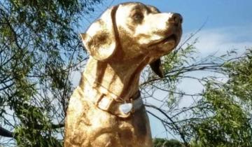 Imagen de Caso del perro Rubio: la defensa apeló el fallo que condenó a Adrián Rodríguez