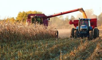 Imagen de Ante la crisis cae el optimismo de los productores agropecuarios