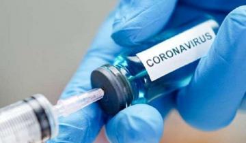 Imagen de Científicos de Tandil avanzan en el uso de un antiparasitario animal en pacientes con coronavirus