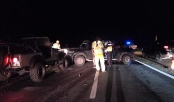 Imagen de Dolores: una camioneta atropelló un caballo en la Ruta 63