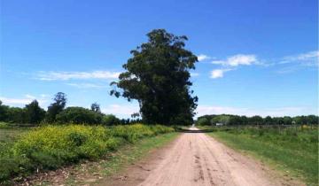 Imagen de General Lavalle: el Municipio alerta sobre venta de terrenos en Paraje Pavón a valores irrisorios