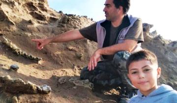 Imagen de Miramar: un niño de 8 años encontró los restos de un perezoso gigante de la Edad de Hielo