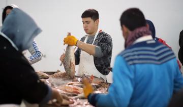 Imagen de Pese a la crisis nacional, el pescado de La Costa se venderá en Francia