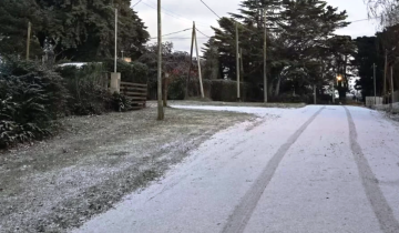 Imagen de La nieve llegó al sudeste bonaerense: qué localidades de la provincia de Buenos Aires se tiñeron de blanco