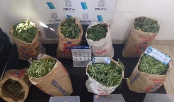 Imagen de Pila: realizan importante allanamiento por venta se droga