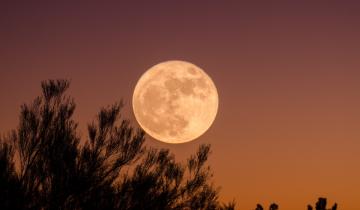 Imagen de Luna llena de julio 2022: cuándo se podrá ver la Superluna de Ciervo y por qué se llama así