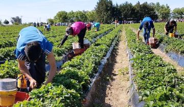Imagen de Día del Trabajador Rural: por qué se celebra el 8 de octubre en Argentina