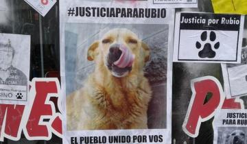 Imagen de Se suspendió el juicio por la muerte del perro Rubio