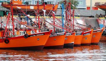 Imagen de Mar del Plata: se otorgaron los primeros permisos para legalizar la pesca artesanal