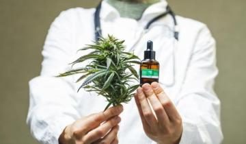 Imagen de La Corte Suprema avala el uso de cannabis medicinal
