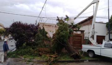 Imagen de El temporal causó importantes destrozos en Pigüé y Puan