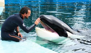 Imagen de Mundo Marino despidió a Kshamenk, la orca rescatada en San Clemente que marcó una historia única en la Argentina