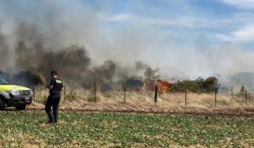 Imagen de Bomberos hallan un cadáver calcinado cuando apagaban un incendio en la Ruta 88