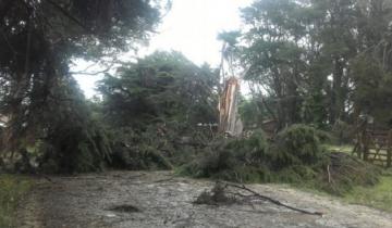 Imagen de Video: una "tromba marina" causó graves destrozos en Santa Clara del Mar