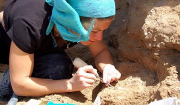 Imagen de Miramar: hallaron una rata espinosa fósil de más de 400 mil años de antigüedad