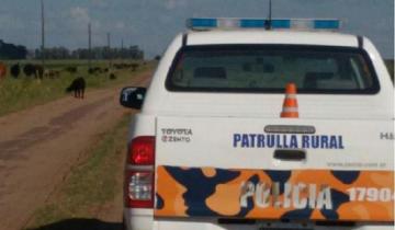 Imagen de Vuelco en un camino rural: murió un joven de General Madariaga