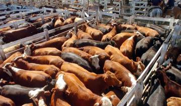 Imagen de El Déjà Vu de 2008: el campo anunció un paro de 7 días por el cierre de la exportación de carne