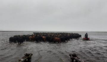 Imagen de Preocupa la posibilidad de una inundación a las puertas de la primavera