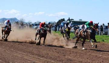 Imagen de La Provincia: suspenden todos los movimientos de caballos por la encefalomielitis equina