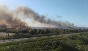 Imagen de San Clemente: varias dotaciones de bomberos sofocaron un importante incendio de pastizales