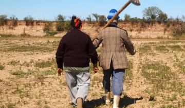 Imagen de Día del Trabajador Rural en Argentina: por qué se celebra el 8 de octubre