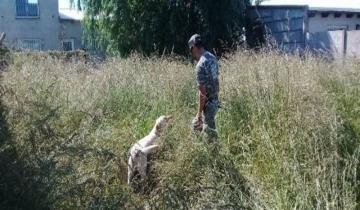 Imagen de Baleó a su ex mujer, la Policía salió a buscarlo y lo encontró decapitado