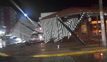 Imagen de La región: el temporal de lluvia, granizo y fuertes vientos provocó anegamientos, cortes de luz y numerosas caídas de árboles