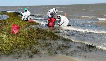 Imagen de La Provincia: alerta por un nuevo derrame de hidrocarburos cerca de Bahía Blanca
