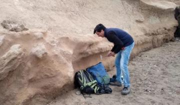 Imagen de Hallan el fémur de un perezoso “gigante” en una playa del norte marplatense