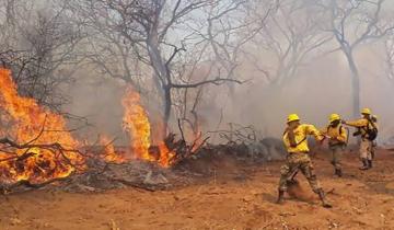 Imagen de Murieron  tres bomberos voluntarios que combatían los incendios en Bolivia