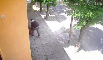 Imagen de Santa Teresita: capturaron al ladrón que atacó a una jubilada en pleno centro