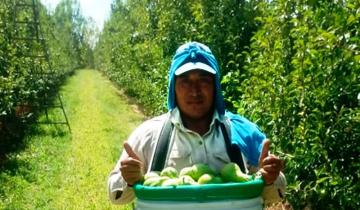 Imagen de Por qué hoy se celebra el Día del Trabajador Rural