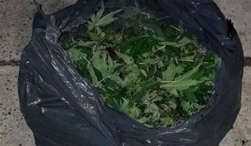Imagen de Villa Gesell: no quiso pagar el viaje en remis, la conductora lo denunció y entregó 5 kilos de marihuana que había dejado en el baúl