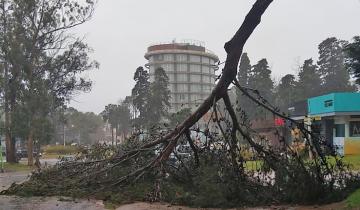 Imagen de Alerta por otra caída de lluvia histórica y fuertes vientos: jueves sin clases en La Costa, Dolores, Pinamar, Madariaga, Gesell y Mar del Plata