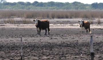 Imagen de La Provincia desactivó el aumento para la segunda cuota del impuesto Inmobiliario Rural