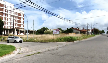 Imagen de Mar del Plata: denunció que encontró a su pareja muerta en un descampado pero lo detuvieron acusado por el femicidio