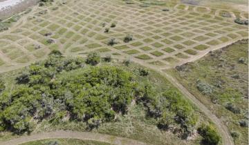 Imagen de General Lavalle: cómo es el trabajo que se realiza en el Parque Nacional Campos del Tuyú para favorecer la biodiversidad