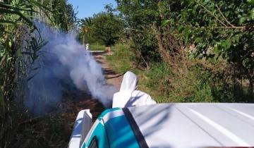 Imagen de Dengue: ya son trece los casos confirmados en La Plata