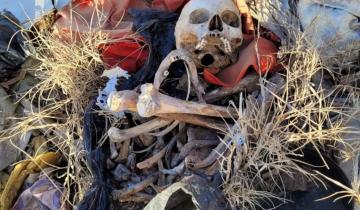 Imagen de Partido de La Costa: encontraron restos óseos en una bolsa de basura