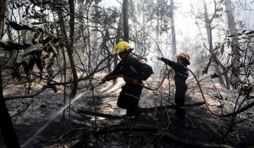 Imagen de Voraz incendio en Cariló: los bomberos lograron controlar el fuego