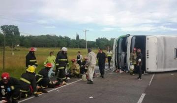 Imagen de El mensaje de Mundo Marino ante el accidente en la Ruta 2