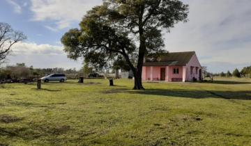 Imagen de General Madariaga: se inauguró una granja de contención para el acompañamiento de personas que sufren adicciones