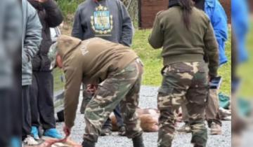 Imagen de La Región: ocho aprehendidos y nueve animales silvestres secuestrados durante un operativo por caza ilegal en General Lavalle
